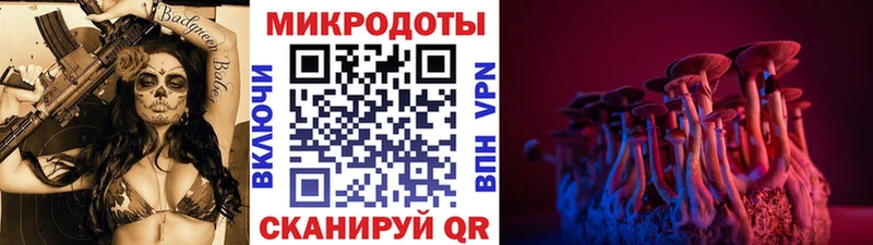 Галлюциногенные грибы MAGIC MUSHROOMS  Купить закладки  Сухиничи 